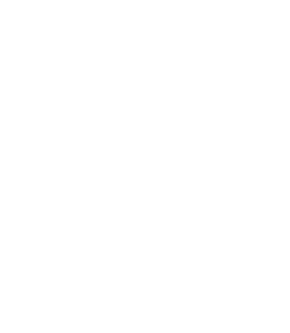 Opportunus